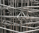 Fio de aço carbono alto 2mm Dia Fixed Knot Fence