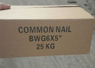 5&quot; comprimento 25kgs em pregos comuns galvanizados caixa