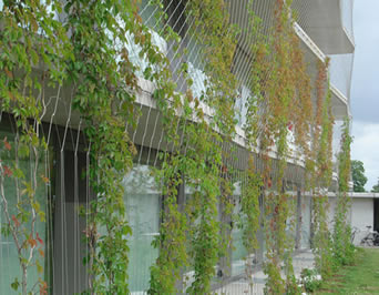 As fachadas verdes cobrem fora de uma construção para impedir acidentes de queda.