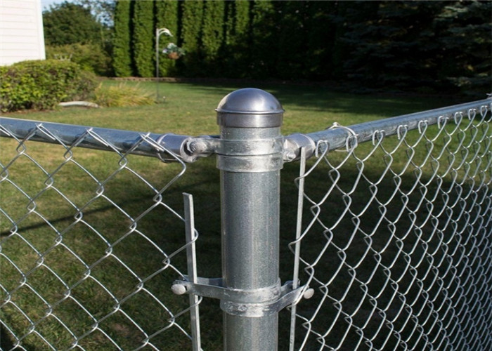 Fio Mesh Fence Hot Dipped Galvanized do elo de corrente de 6 pés para a exploração agrícola