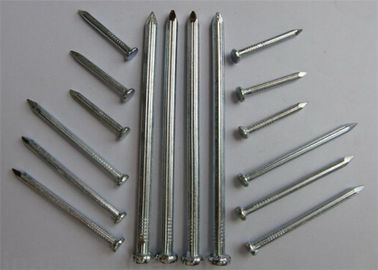 O fio de metal anticorrosivo prega o prego comum do ferro do aço Q195 usado para a mobília